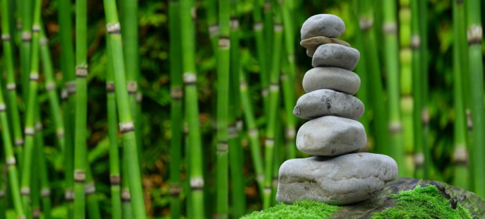 Đá là một loại vật liệu gắn liền với lịch sử phát triển của loài người.[1] Từ thời đại đồ đá con người đã biết dùng đá để làm vũ khí tự vệ, săn bắn, công cụ sản xuất.