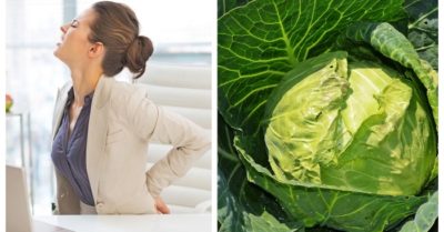 Bắp cải trị đau nhức xương khớp mùa đông cực hiệu quả