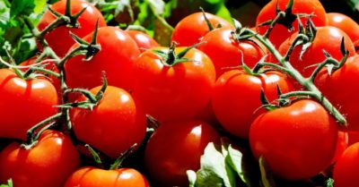 Cách bảo quản cà chua lâu ngày vẫn tươi ngon như mới