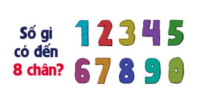 Mỗi ngày 3 câu đố: Số gì có đến 8 chân?