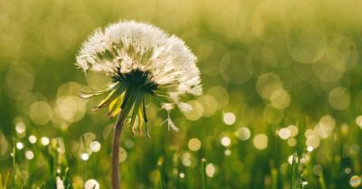Dù giàu hay nghèo, làm người nhất định phải có những phẩm chất này
