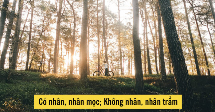 Tục ngữ Việt Nam: Có nhân, nhân mọc; Không nhân, nhân trầm