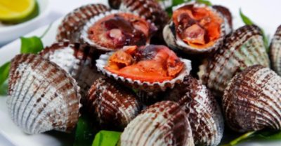 Ăn sò huyết có tác dụng gì cho sức khỏe?