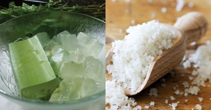 cách trị mụn bằng nha đam và muối; trị mụn bằng nha đam có tốt không; cách trị mụn bằng nha đam hiệu quả tại nhà;