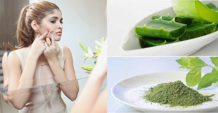 cây nha đam trị mụn trứng cá; nha đam trị mụn thâm; trị mụn bằng nha đam đông đá; uống nha đam trị mụn; trị thâm mụn bằng nha đam tươi;