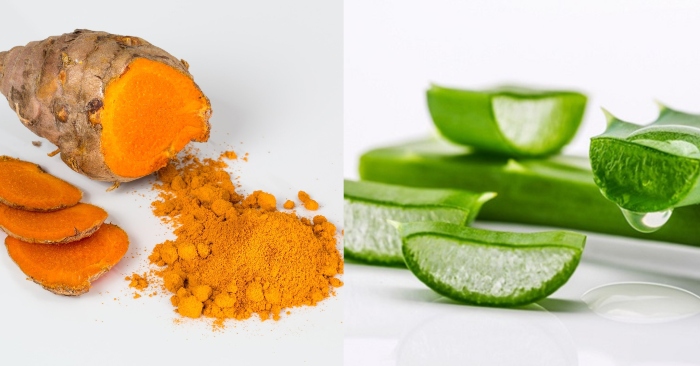 cách làm mặt nạ nha đam trị mụn; cách trị mụn bằng nha đam hiệu quả tại nhà; cách trị mụn cám bằng nha đam; cách trị mụn bằng nha đam và nghệ; Cách làm gel nha đam trị mụn; nha đam trị mụn đầu đen;