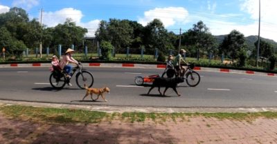 Cặp vợ chồng bán hết tài sản, đưa con đi phượt bằng xe đạp