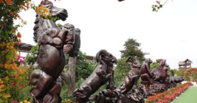 Đại gia miền Tây sở hữu ‘báu vật’ hàng trăm năm tuổi từ đáy sông Tiền