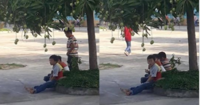Dân mạng ‘tăng xông’ vì học sinh thờ ơ với xoài: ‘Đúng là tuổi trẻ chưa trải sự đời’