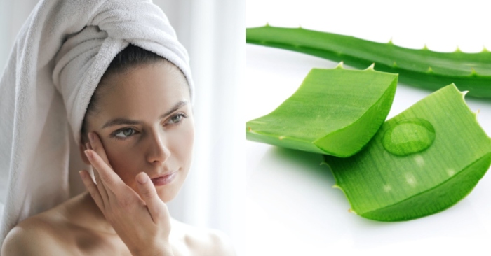 Nha đam có nhiều axit cinnamic, và các vitamin B1, B2, B6 cùng với axit folic,..; giúp làn da sạch mụn, căng mọng, tràn đầy sức sống. Bôi nha đam lên mặt để qua đêm được không; cách đắp nha đam lên mặt;