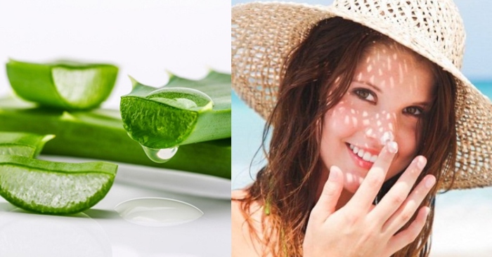 Chỉ số chống nắng SPF của nha đam là dưới 1. Do vậy khi ra nắng bạn nhớ dùng kem chống nắng và che chắn làn da nhé. Đắp nha đam tươi mỗi ngày có tốt không;