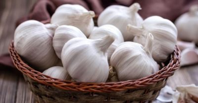 Cách bảo quản tỏi khô được lâu với những mẹo đơn giản