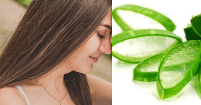 mái tóc khỏe mạnh, sạch gàu nhờ dưỡng chất trong nha đam và dầu dừa; có nên dùng gel nha đam hàng ngày;