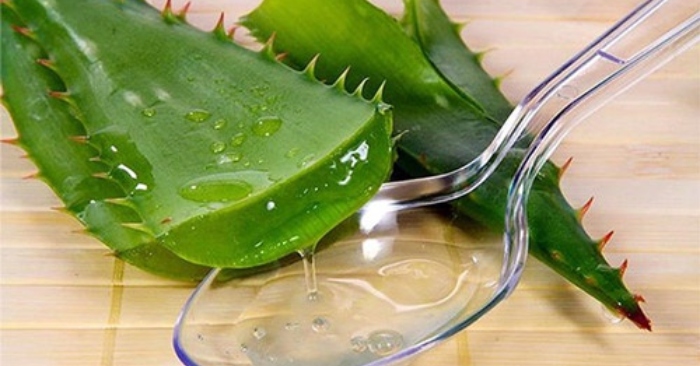 trị nám bằng nha đam ngâm rượu; cách trị nám bằng nha đam tại nhà; giàu dưỡng chất tốt cho làn da;
