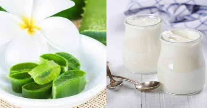 Cách trị nám bằng nha đam đơn giản mà hiệu quả; Mặt nạ sữa chua giúp đánh bay các vết nám khó.