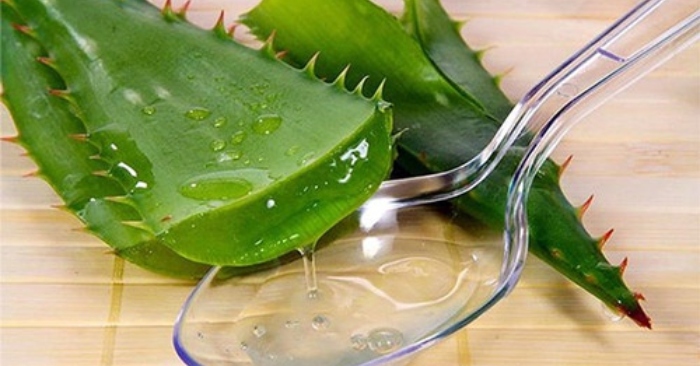 nha đam có chứa nhiều chất dinh dưỡng; có khả năng cấp ẩm cho mái tóc khô xơ. Kích thích mọc tóc bằng nah đam;