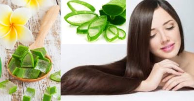 Dưỡng tóc bằng nha đam giúp tóc  bóng mượt chắc khỏe