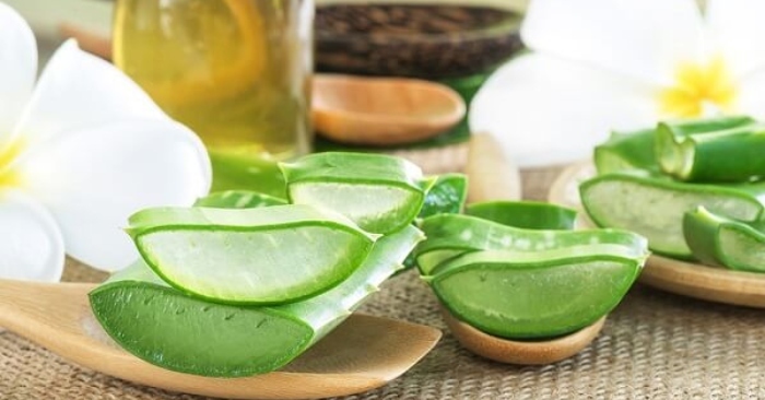 cách ủ tóc bằng nha đam; nha đam kết hợp với dầu dừa cung cấp dộ ẩm cho tóc, giúp tóc luôn mềm mượt.