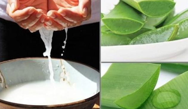 Nước vo gạo chứa nhiều vitamin, khoáng chất và các chất chống oxy hóa. giúp giảm ma sát bề mặt và tăng độ đàn hồi cho tóc; chữa hói đầu bằng nha đam;