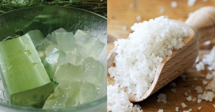 chà nha đam lên tóc; hỗn hợp nha đam và muối để ủ tóc, không chỉ giúp tóc óng mượt mà còn giúp da đầu khỏe mạnh hơn.