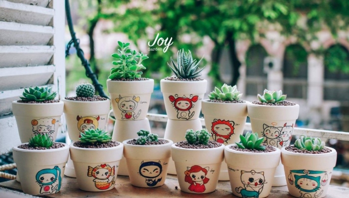 Ý nghĩa; Thuốc kích màu sen đá; ép màu hoa đá; Cách chăm sóc; Cách ép lên màu đẹp nhất thế giới.
