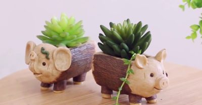 Sen đá giả – Điểm nhấn cho phong cách trang trí không gian sống
