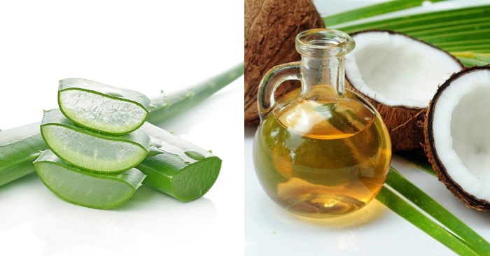 Cách làm mặt nạ nha đam dầu dừa đơn giản, ăn được không, mặt nạ, phần thịt, cải thiện, trị mụn.