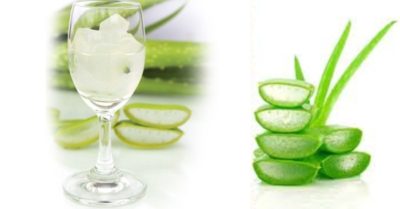 Cách sơ chế nha đam để làm đẹp và nấu ăn