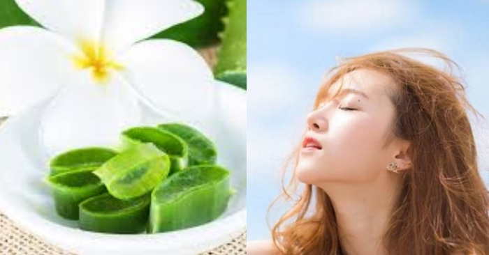 đắp mặt nạ nha đam có ăn nắng không; nếu dùng mặt nạ nha đam 3 lần/tuần da sẽ khỏe, ít bị bắt nắng