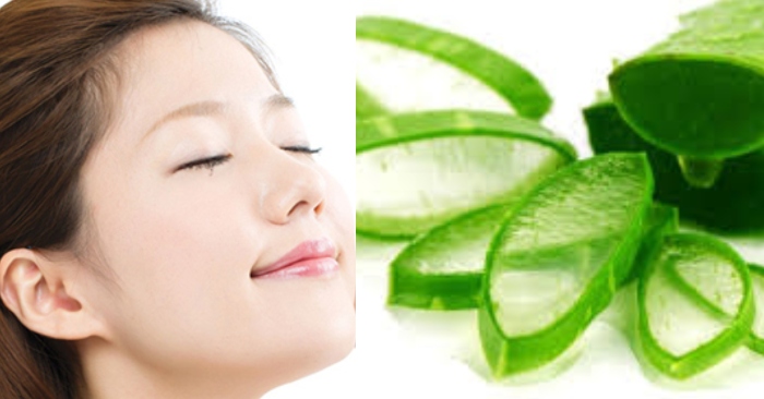 Nha đam không chỉ tốt cho sức khỏe; mà đắp mặt nạ nha đam còn có tác dụng tuyệt vời cho làn da.