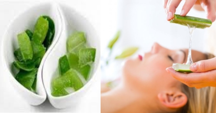 Đắp mặt nạ nha đam mấy lần 1 tuần để tốt cho da; chỉ nên đắp 2- 3 lần/ 1 tuần là tốt nhất.
