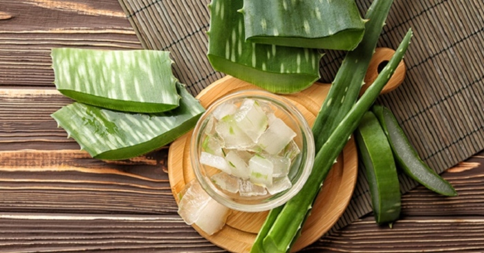 Nha đam cung cấp các dưỡng chất thiết yếu cho da, giúp làm trắng da một cách hoàn toàn tự nhiên.