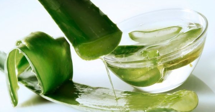 Cây nha đam; dụng của; làm trắng; nha đam; trong nha; khi sử dụng; tình trạng; bên cạnh đó; da.