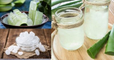 Nha đam đường phèn có tốt không?