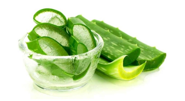 Nha đam hạt chia giảm béo; nghiên cứu; tế bào; khả năng; thực hiện; đơn giản; trị nám; lợi ích;