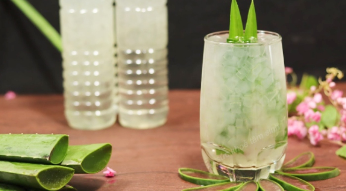 Nha đam đường phèn giảm cân hiệu quả; giảm cân; mỗi ngày có tốt không; quất; yến chưng; lô hội;