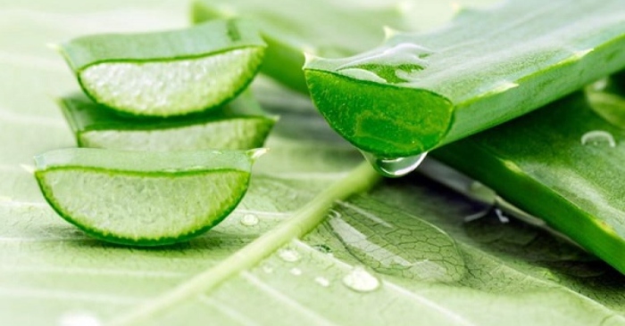 Nước nha đam để được bao lâu? Phương pháp bảo quản nha đam đúng chuẩn; nám tàn nhang; da mặt; da.