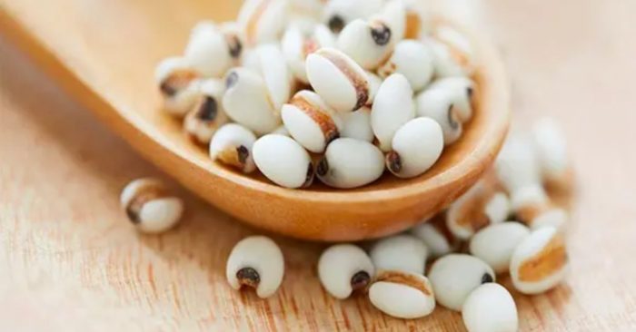 Hạt ý dĩ – Loại hạt cứu đói một thời trở thành 'viên ngọc quý' cho sức khỏe
